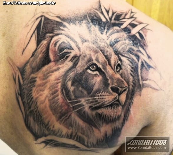 Tatuaje de Leones, Animales, Omóplato