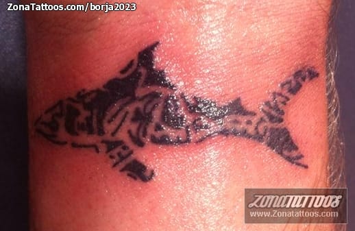 Tattoo photo Sharks, Maori, Animals