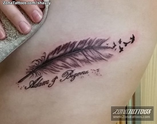 Foto de tatuaje Plumas, Aves