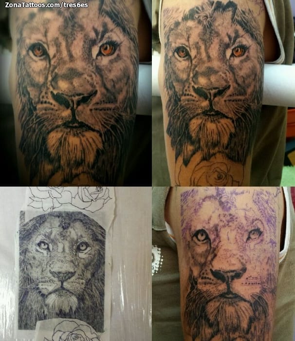 Tattoo photo Lions, Animals