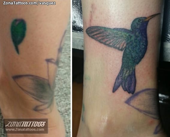 Foto de tatuaje Cover Up, Colibríes, Aves