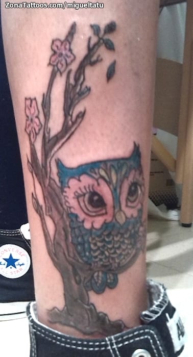 Foto de tatuaje Búhos, Aves, Animales