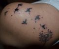 Tatuaje de danielmjsk