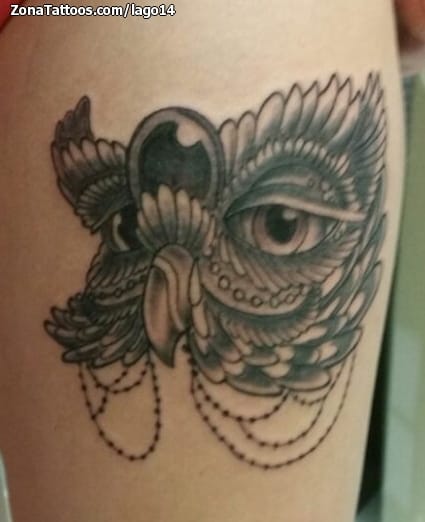 Foto de tatuaje Búhos, Animales, Aves