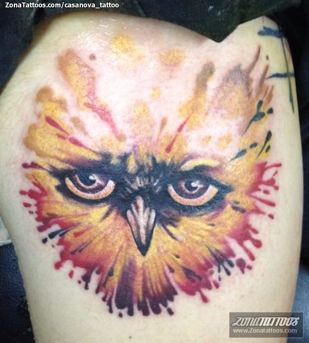 Tattoo photo Owls, Birds, Animals