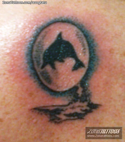 Tattoo photo Dolphins, Animals