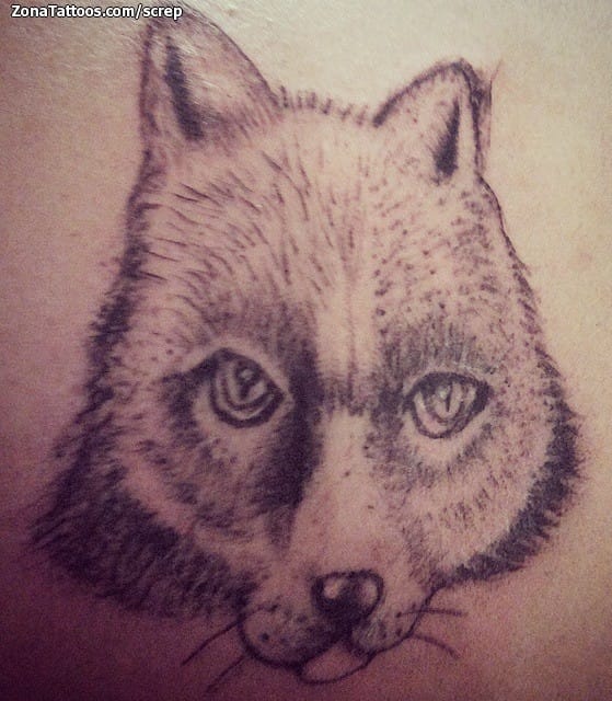 Tattoo photo Animals