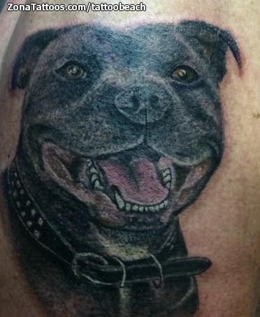 Tattoo photo Dogs, Animals, Pitbulls