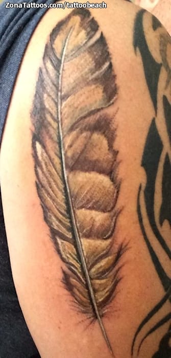 Tattoo photo Feathers