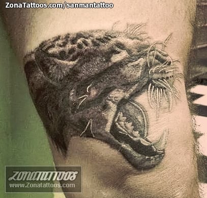 Foto de tatuaje Leopardos, Animales