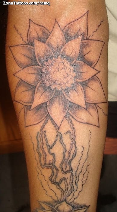 Tattoo photo Flowers, Lotus