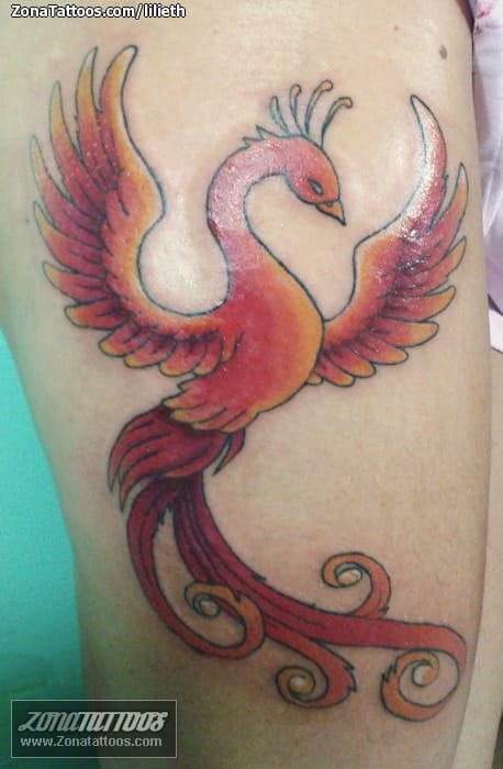 Tattoo photo Phoenix, Leg, Fantasy