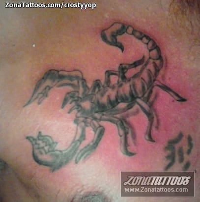 Tattoo photo Scorpions, Insects, Chest