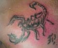 Tattoo by crostyyop