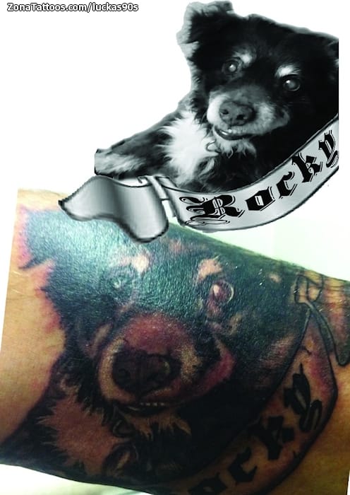 Tattoo photo Dogs, Animals