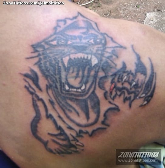 Foto de tatuaje Tigres, Animales