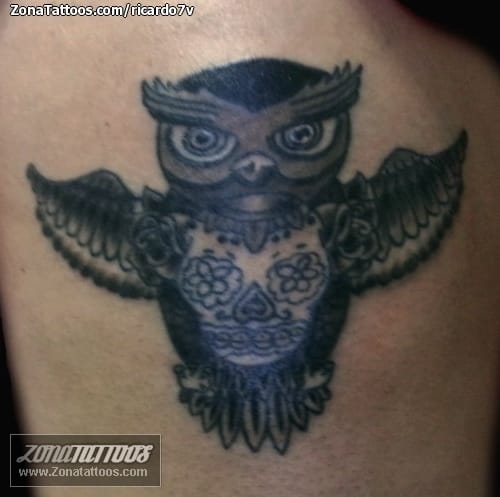 Tattoo photo Owls, Birds, Animals