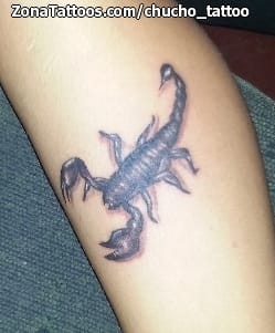 Tattoo photo Scorpions, Insects