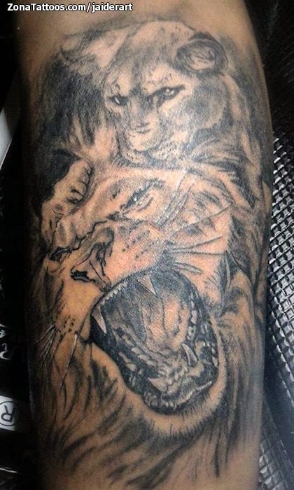 Foto de tatuaje Leones, Animales