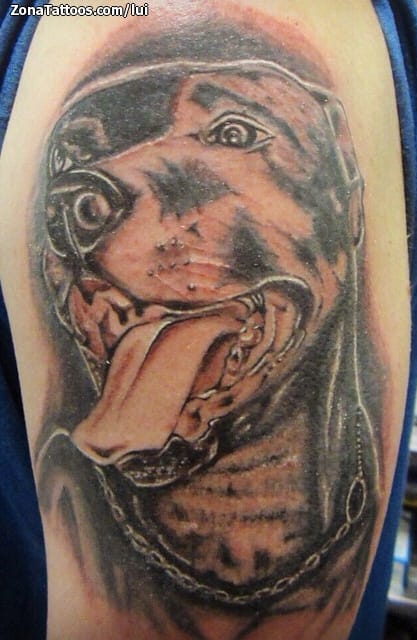 Foto de tatuaje Perros, Animales, Pitbulls