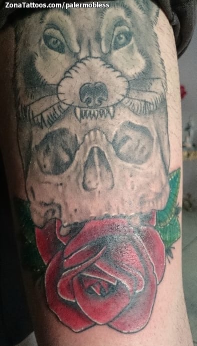 Foto de tatuaje Calaveras, Lobos, Animales