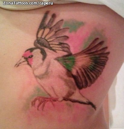 Foto de tatuaje Aves, Animales