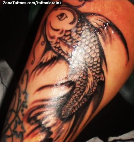 Foto de tatuaje Koi, Peces, Animales