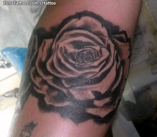 Foto de tatuaje Rosas, Flores