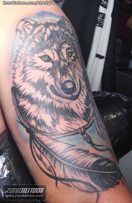 Tattoo photo Wolfs, Animals, Feathers