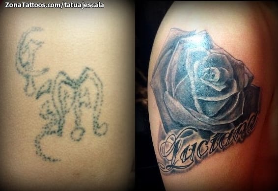 Foto de tatuaje Cover Up, Rosas, Flores