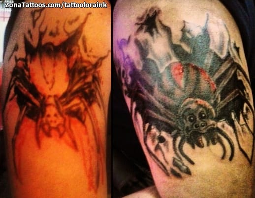 Tattoo photo Spiders, Insects