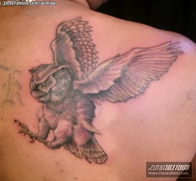 Tattoo photo Owls, Birds, Animals