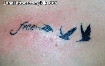 Foto de tatuaje Animales, Aves, Letras