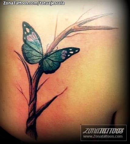 Foto de tatuaje Árboles, Mariposas, Insectos