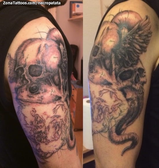 Tattoo photo Skulls, Wings, Gothic