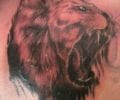 Tattoo by Wimiba