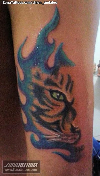 Foto de tatuaje Tigres, Animales, Llamas