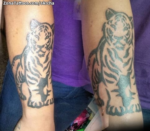 Foto de tatuaje Tigres, Animales