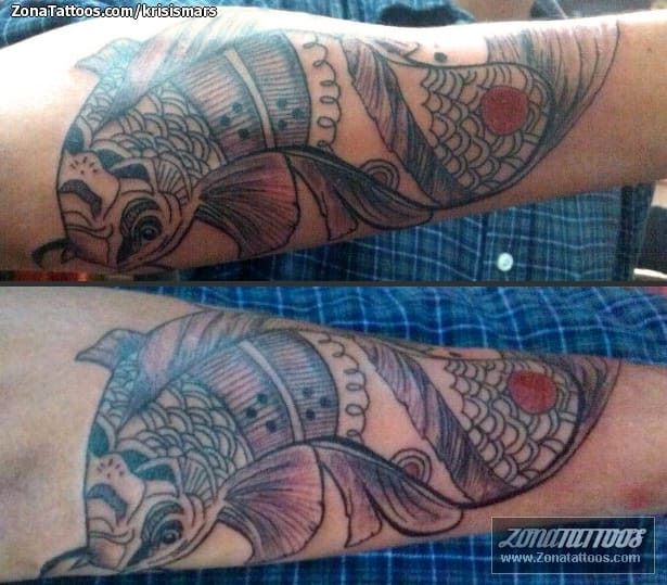 Tattoo photo Animals, Fish, Forearm