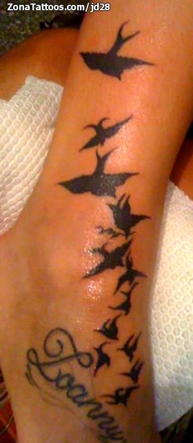 Foto de tatuaje Golondrinas, Aves, Animales