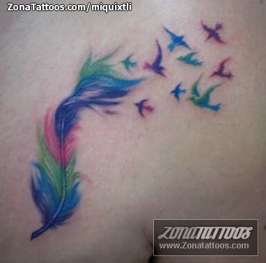 Foto de tatuaje Plumas, Aves