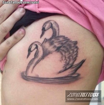 Tattoo of Swans, Birds, Animals