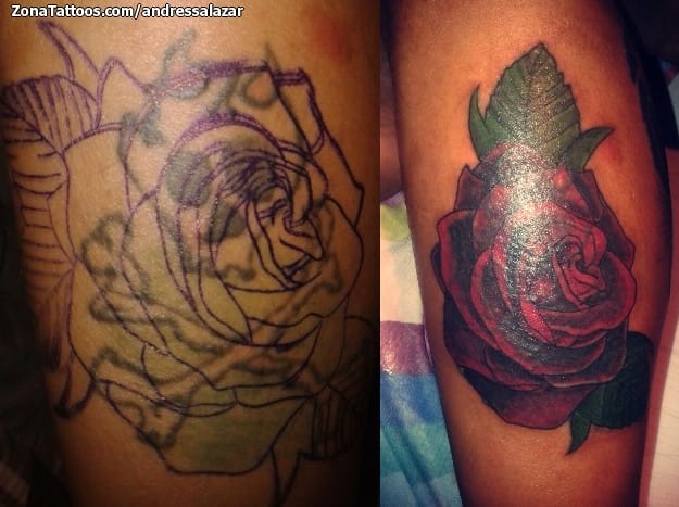 Tattoo photo Cover Up, Roses, Flowers