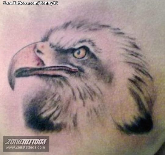 Foto de tatuaje Águilas, Aves, Animales