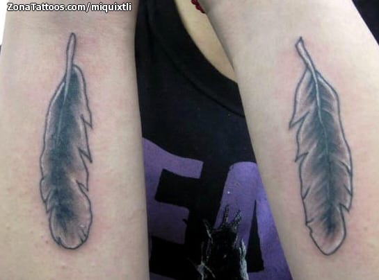 Tattoo photo Feathers