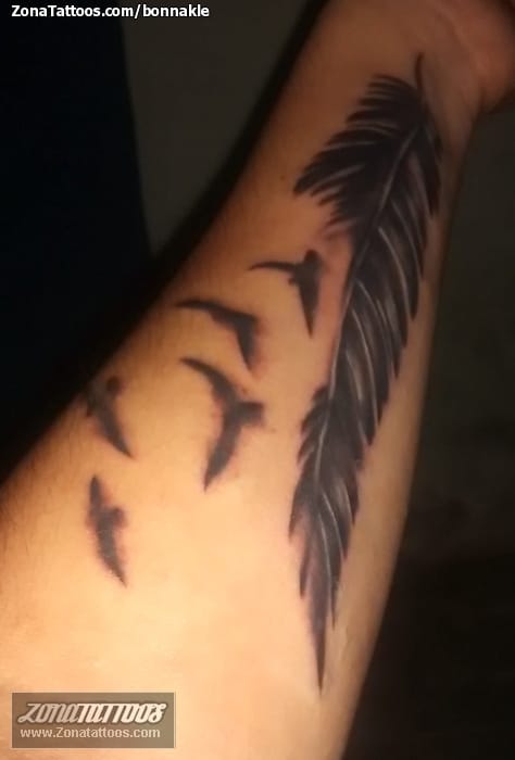 Foto de tatuaje Plumas, Aves