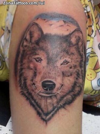 Foto de tatuaje Lobos, Animales