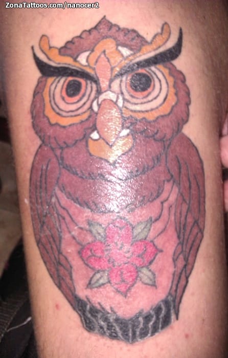 Tattoo photo Animals, Owls, Birds