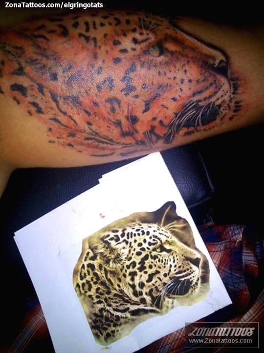 Tattoo photo Leopards, Animals