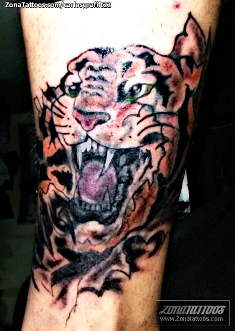 Tattoo photo Tigers, Animals